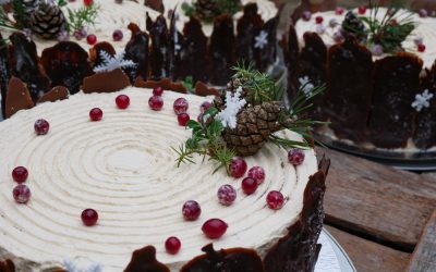 Pakkasenpuremia ja takkatulta